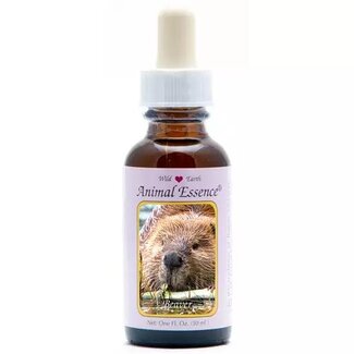 Animal Essences Animal Essences Beaver (Biber) 30 Milliliter