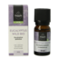Volatile Eucalyptus bio 10 millilitri