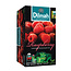 Dilmah Raspberry Fun Tea, 20 sachets