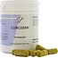 Holisan Curcusan ayurveda 90 capsule vegetali