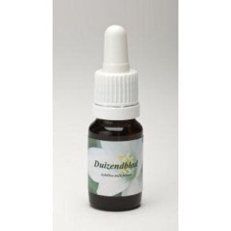 Star Remedies Yarrow white 10 Millilitres