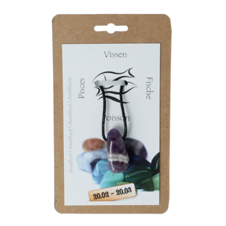 Steengoed Steengoed Sterrenbeeldsteen hanger vissen 1 Stuks