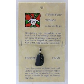 Steengoed Steengoed Zodiac Stone Pendant Capricorn 1 Piece