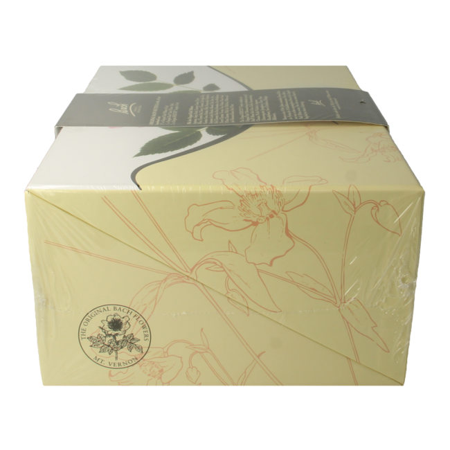 Bach-Blütenessenzen-Set 10 ml, 1 Set