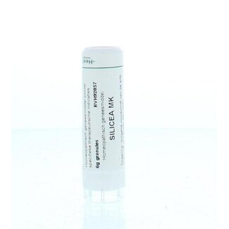 Homeoden Heel Homeoden Heel Silicea MK 6 Gram