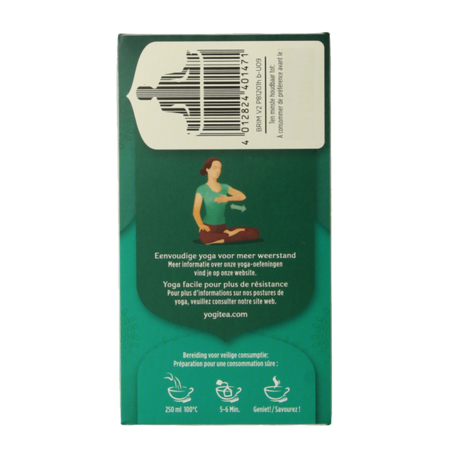 Bright Mood Organic 17 Tea Bags