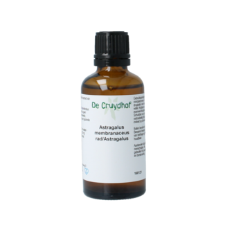 Cruydhof Nalewka z korzenia Astragalus membranaceus Cruydhof 50 mililitrów