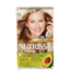 Nutrisse Nutrisse 73 Goldhonig 1 Set