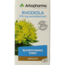 Rhodiola 45 Capsule