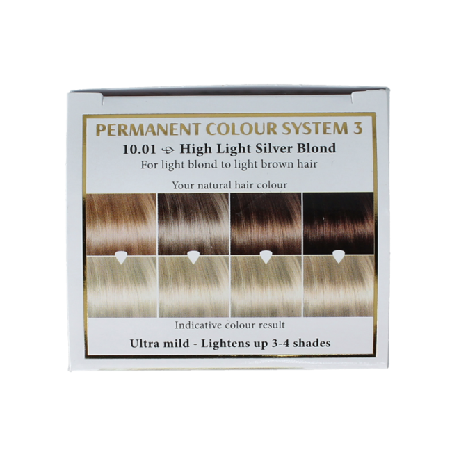 Henna Plus Farba długotrwała 10.01 srebrny blond 100 Mililitrów