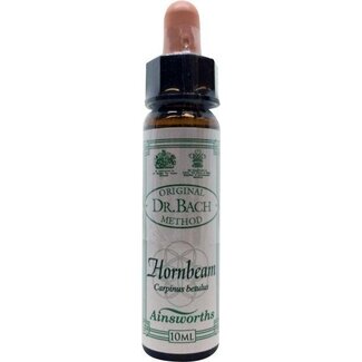 Ainsworths Ainsworths Hornbeam Bach 10 mililitros