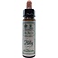 Ainsworths Holly Bach 10 ml