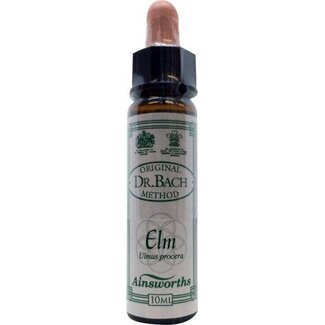 Ainsworths Ainsworths Elm Bach 10 Milliliter