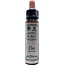 Ainsworths Elm Bach 10 Milliliter