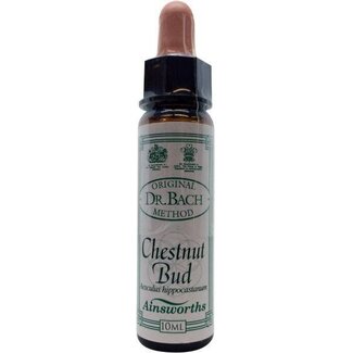 Ainsworths Ainsworths Chestnut bud Bach 10 Milliliter