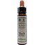 Ainsworths Beech Bach 10 Milliliter
