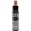 Ainsworths Recovery Remedy 10 Milliliter