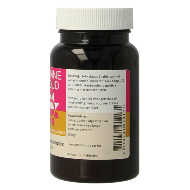 Zonnegoud Artemisia complex 120 comprimidos