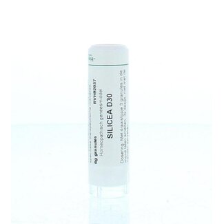 Homeoden Heel Silicea D30 6 Grammi