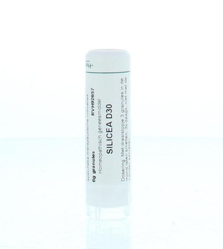 Homeoden Heel Silicea D30 6 Gram