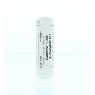 Homeoden Heel Homeoden Heel Cardiospermum halicacabum D30 6 Gram