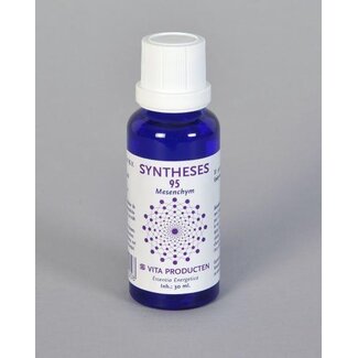 Vita Vita Syntheses 95 mesenchym 30 Milliliter