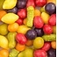 Kindly's Fris fruit 4 Kilogram