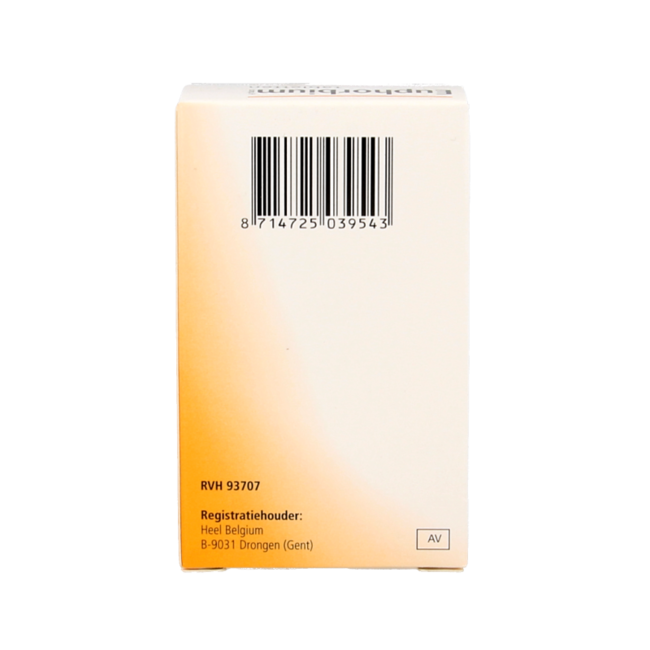 Heel Euphorbium compositum H 250 Tablets