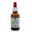 Surya Pinasnas nasal drops 30 Millilitre