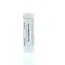 Homeoden Heel Dulcamara D12 6 Gramm