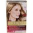 Excellence Excellence 8.1 rubio claro ceniza 1,00 set