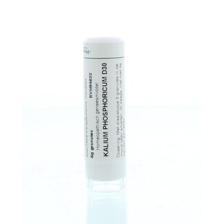 Homeoden Heel Kalium phosphoricum D30 6 Gram