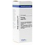 VSM Plantago major D12 20 Milliliter