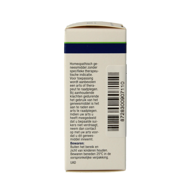 VSM Aesculus hippocastanum D4 10g