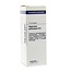 VSM Hypericum perforatum D12 20 Millilitre