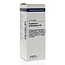 VSM Gnaphalium polycephal D6 20 Millilitri