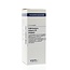 Berberis vulgaris D3 20 Milliliter