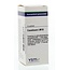 VSM Causticum LM18 4 Grammes