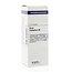 VSM Arum triphyllum D6 20 Millilitres