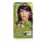 Naturtint 5M Hell-Mahagonikastanie 170 Milliliter