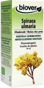 Biover Spiraea Ulmaria Bio: Estratto Naturale per il Benessere