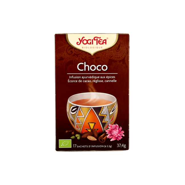 Choco bio 17 sachets