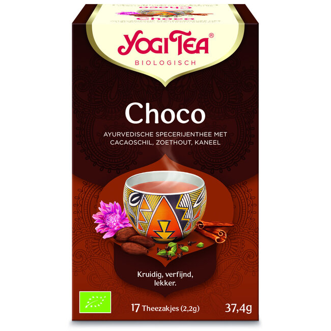 Choco bio 17 sachets