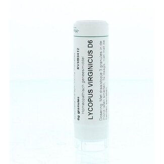 Homeoden Heel Homeoden Heel Lycopus virginicus D6 6 Gram