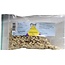 Clark Hydrangea officinalis 25 Grammi