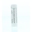 Homeoden Heel Ammonium muriaticum D12 6 Grammi