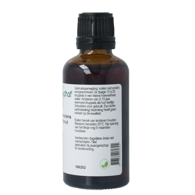 Cruydhof Ruta graveolens herb / rue tincture 50 Millilitre