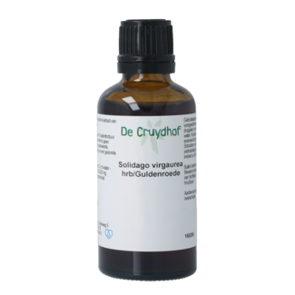 Cruydhof Cruydhof Solidago virg herb / tintura de vara de oro 50 mililitros