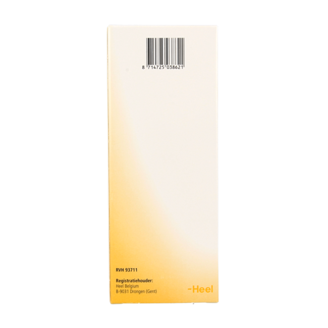 Sciroppo Nectadyn H 250 Millilitri