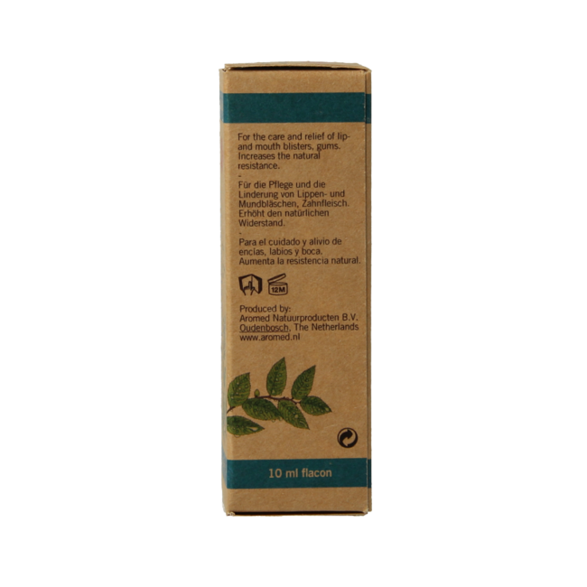 Aromed Echina Huile pour aphtes et boutons de fièvre 10 ml